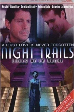 Постер к фильму Ночные огни (1998)