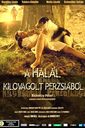 Постер к фильму Смертельные трудности в Персии (2004)