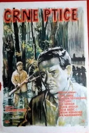 Постер к фильму Crne ptice (1967)