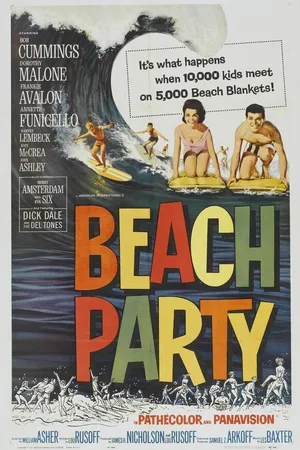 Постер к фильму Пляжные тусовщики (1963)