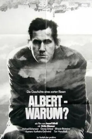 Постер к фильму Альберт – почему? (1978)
