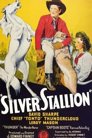 Постер к фильму Серебряный жеребец (1941)