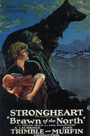 Постер к фильму Браун с Севера (1922)
