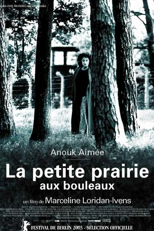 Постер к фильму Березовый луг (2003)