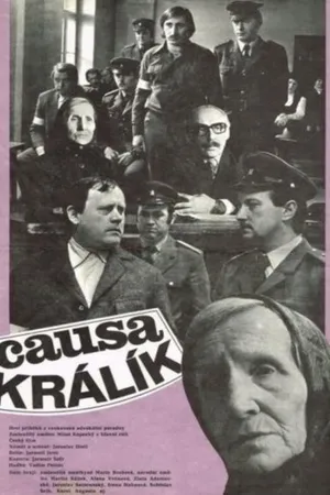 Постер к фильму Дело кролика (1979)
