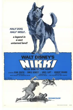 Постер к фильму Дикий пес Севера (1961)