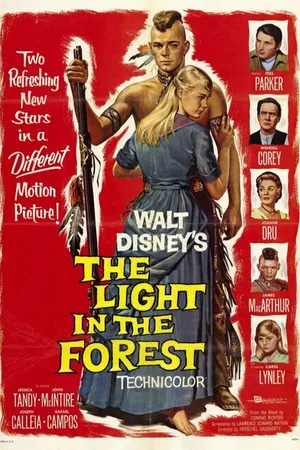 Постер к фильму Свет в лесу (1958)
