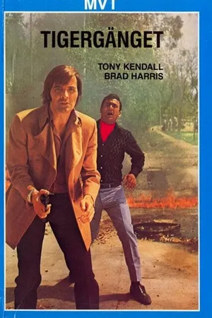 Постер к фильму Комиссар Х: Охота за красным тигром (1971)