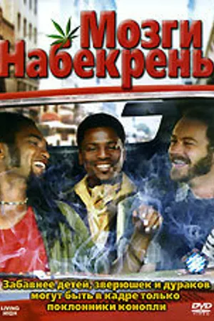 Постер к фильму Мозги набекрень (2006)