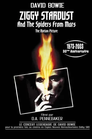 Постер к фильму Зигги Стардаст и пауки с Марса (1979)