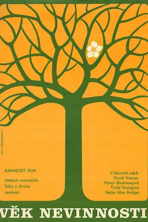 Постер к фильму Эпоха невинности (1977)