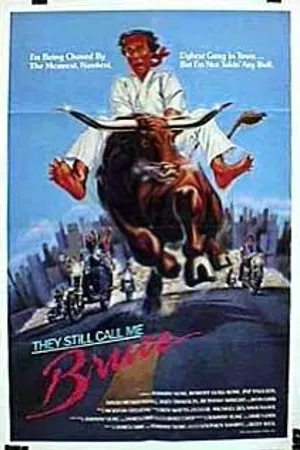 Постер к фильму Меня все еще путают с Брюсом (1987)