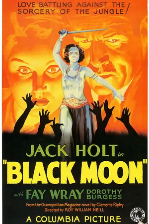 Постер к фильму Черная Луна (1934)