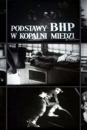 Постер к фильму Основы охраны труда на медном руднике (1972)