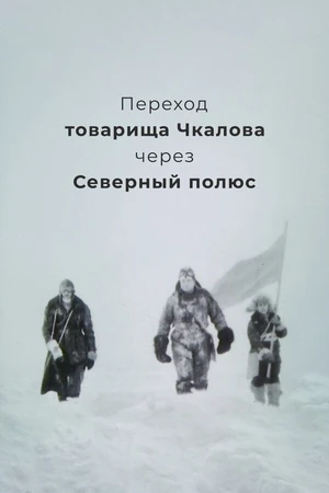 Постер к фильму Переход товарища Чкалова через Северный полюс (1990)