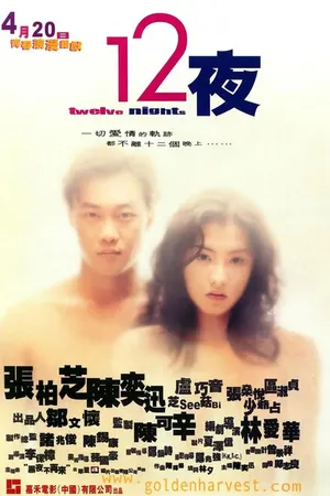 Постер к фильму Двенадцать ночей (2000)