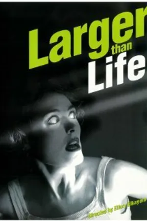 Постер к фильму Larger Than Life (1997)
