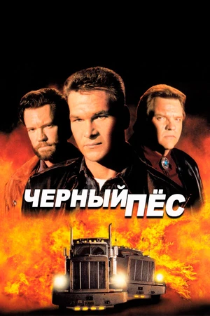 Постер к фильму Черный пес (1998)