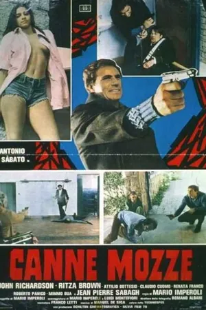 Постер к фильму Обрез (1977)