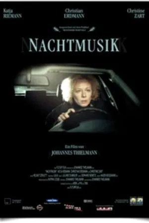 Постер к фильму Ночная музыка (2002)