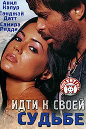 Постер к фильму Идти к своей судьбе (2004)