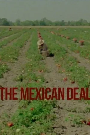 Постер к фильму Le Deal mexicain (1980)