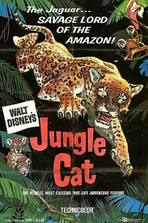 Постер к фильму Дикая кошка джунглей (1960)