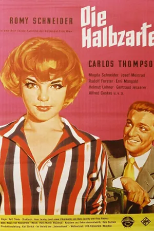 Постер к фильму Наполовину нежная (1959)