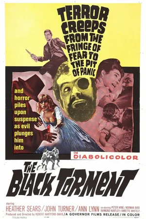Постер к фильму Тёмные муки (1964)