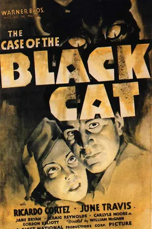 Постер к фильму Дело о черном коте (1936)
