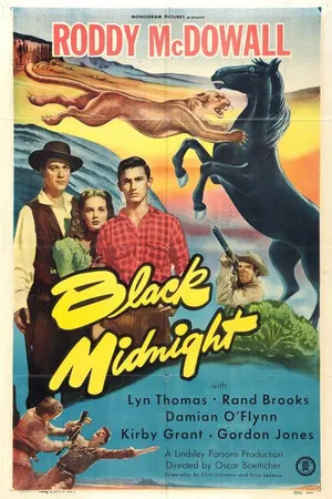 Постер к фильму Black Midnight (1949)