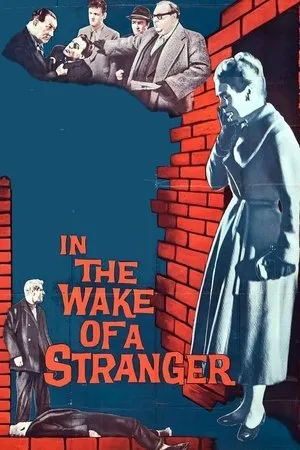 Постер к фильму По следам незнакомки (1959)