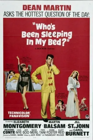 Постер к фильму Кто спал на моей кровати? (1963)