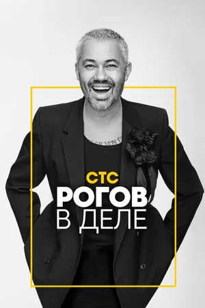 Постер к сериалу Рогов в деле (2020)