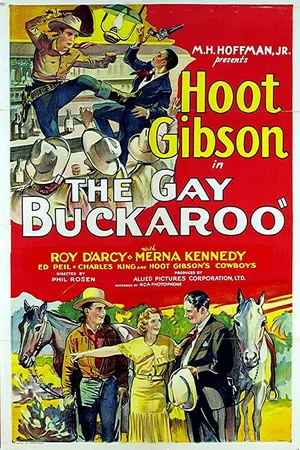 Постер к фильму The Gay Buckaroo (1931)