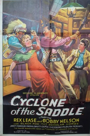 Постер к фильму Cyclone of the Saddle (1935)