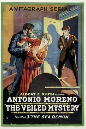 Постер к фильму The Veiled Mystery (1920)