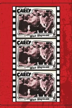 Постер к фильму Wild Mustang (1935)