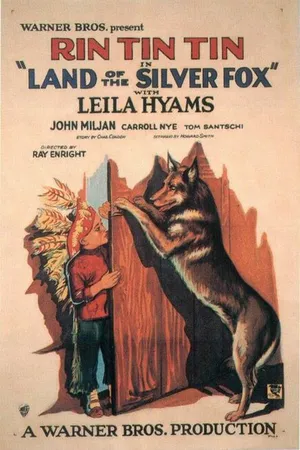 Постер к фильму Land of the Silver Fox (1928)