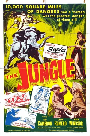 Постер к фильму Джунгли (1952)