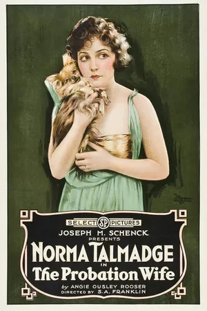 Постер к фильму The Probation Wife (1919)