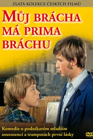 Постер к фильму У моего брата отличный братишка (1975)