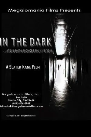 Постер к фильму In the Dark (2004)