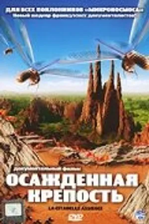 Постер к фильму Осажденная крепость (2006)