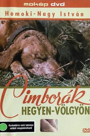 Постер к фильму Дорога с приключениями (1960)