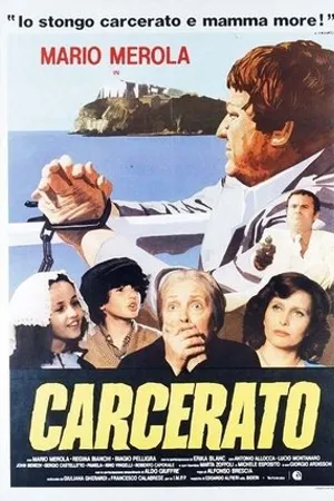 Постер к фильму Carcerato (1981)