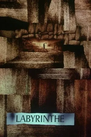 Постер к фильму Le labyrinthe (1970)