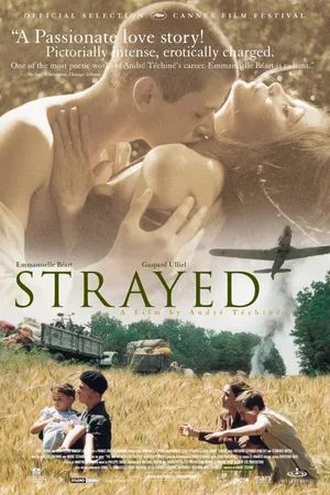 Постер к фильму Заблудившиеся (2003)