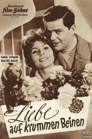 Постер к фильму Liebe auf krummen Beinen (1959)