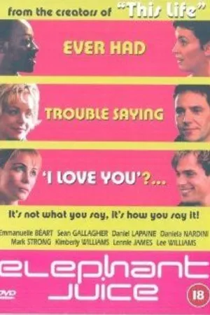Постер к фильму Любовники (1999)